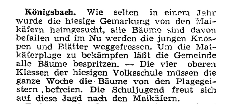 1950 05 13 s15 Maikaefer