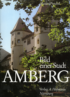 amberg bi