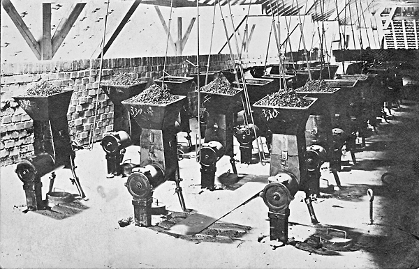 ziegelbrennerei 01037