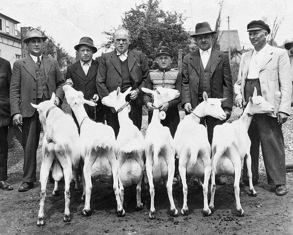 2018 KW05 TE 00604 FB