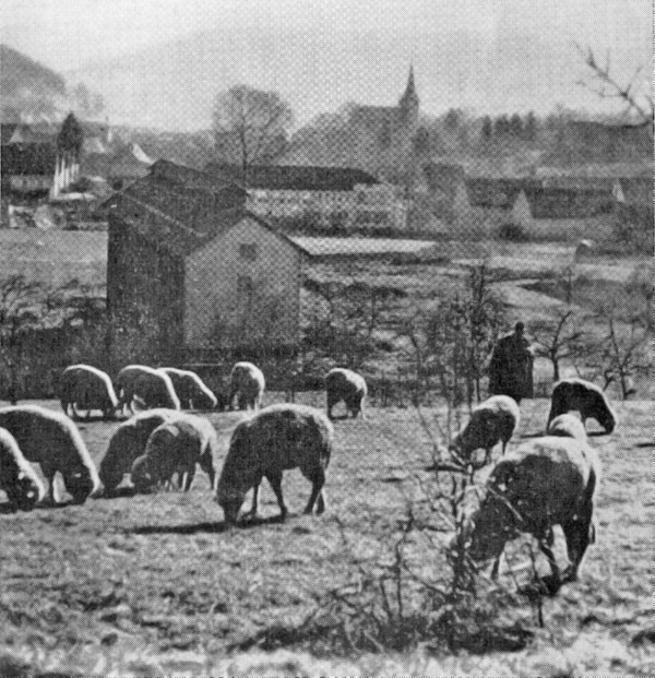 2018 KW08 TE 01140 fb